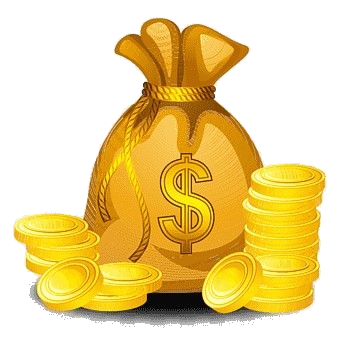 money bag